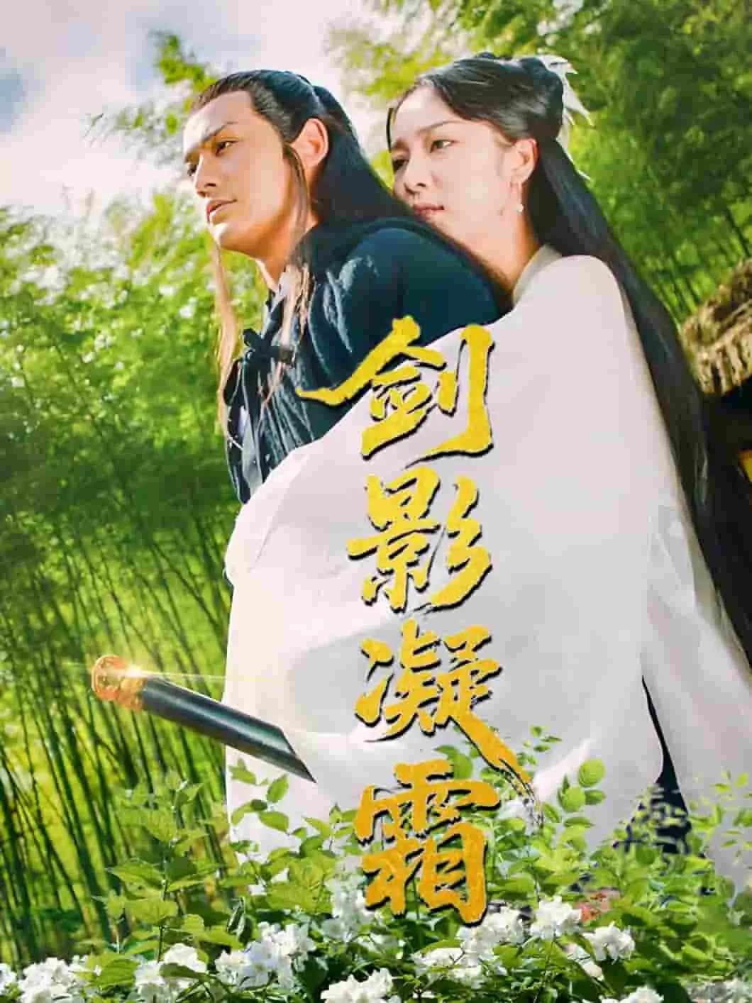 《剑影凝霜》：侠骨柔情，刀光剑影中的爱恨情仇，谱写江湖传奇！