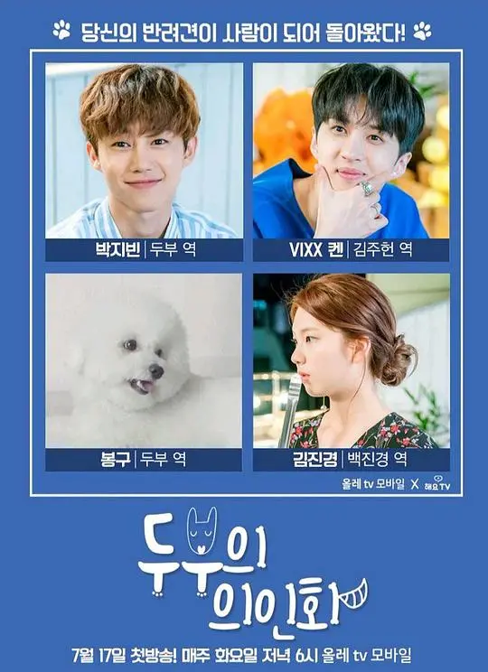 《豆腐的拟人化》：小人物的平凡爱情，触动心底最柔软的温暖与治愈